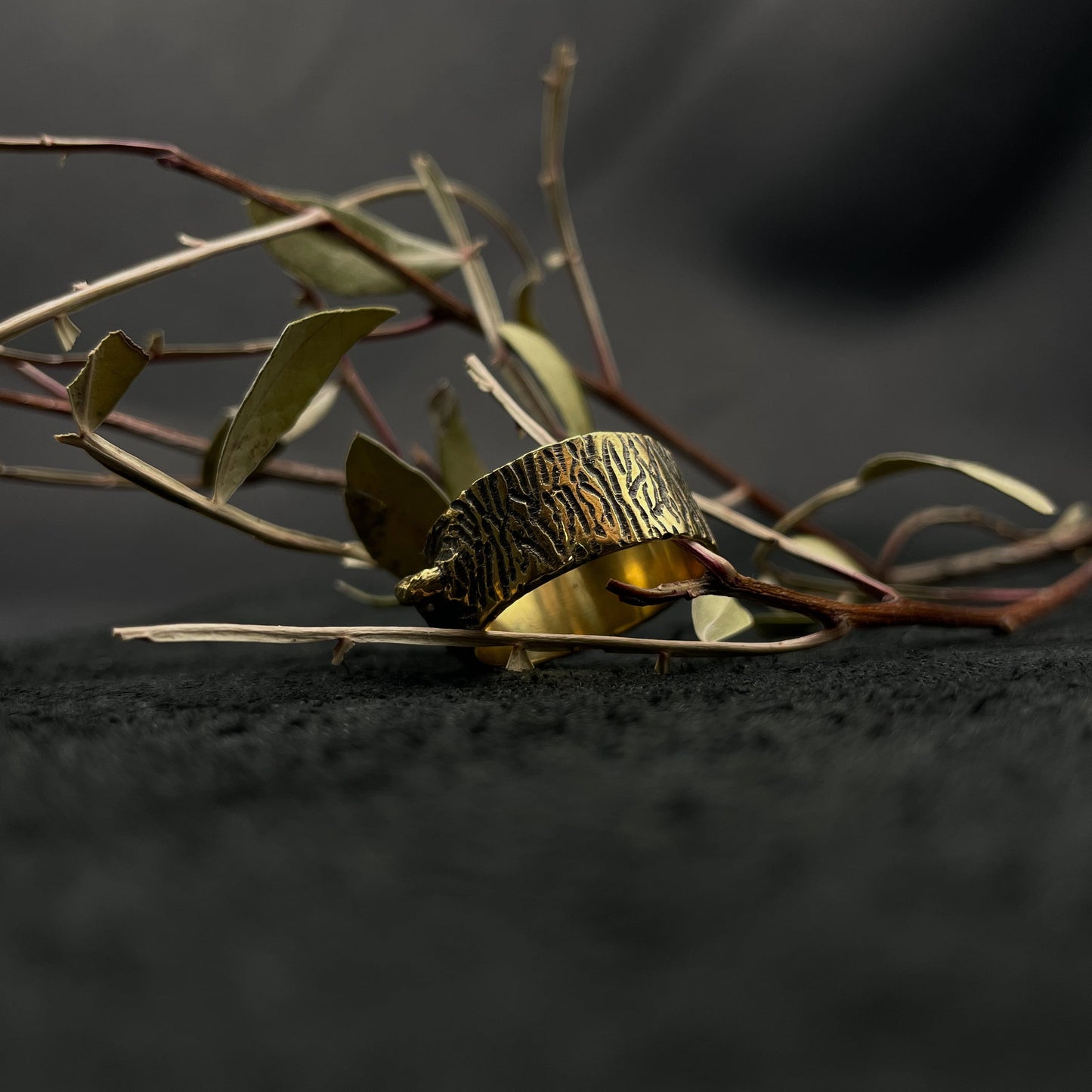 Žiedas "Miško globa"