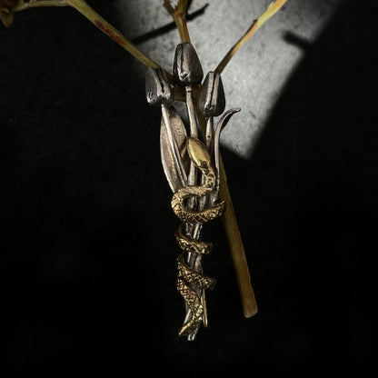 Brooch "Serpentuli"