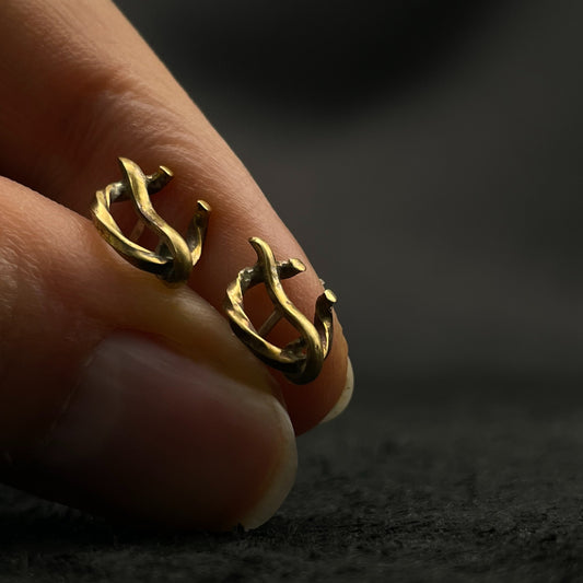 Auskarai "Baltiškosios sagytės"