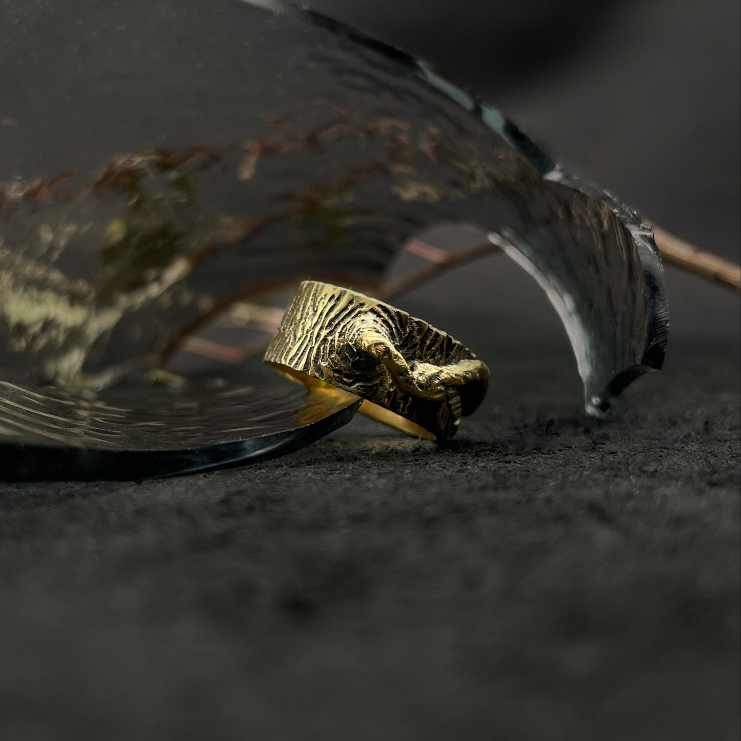 Žiedas "Miško globa"